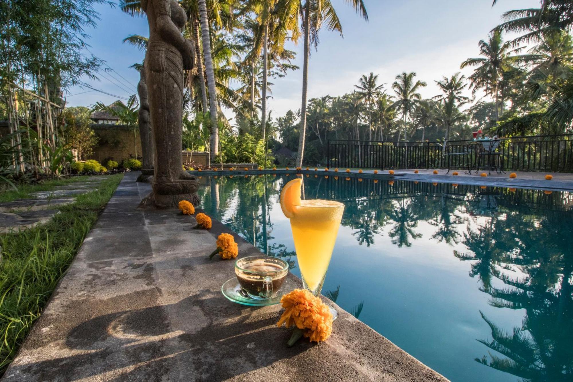 Serenity Ubud Villa & Spa Pokoj fotografie