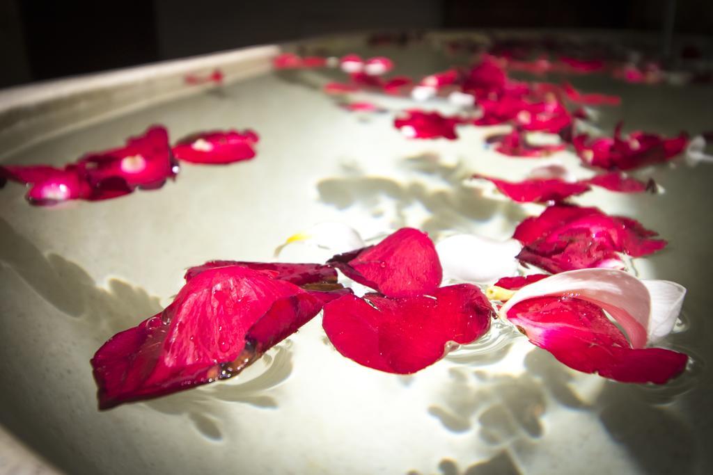 Serenity Ubud Villa & Spa Exteriér fotografie