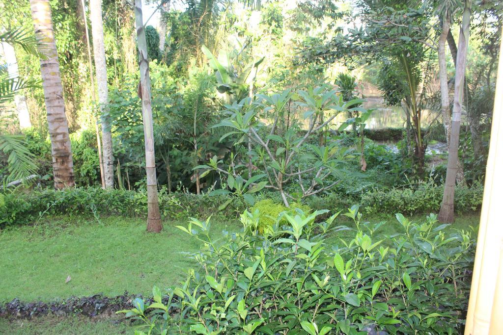 Serenity Ubud Villa & Spa Exteriér fotografie